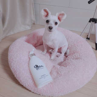 예민한 피부를 위한 코코몰리 All in one 자연유래 샴푸 — 4점을 준 리뷰어가 2020년 11월 올린 사용 사진