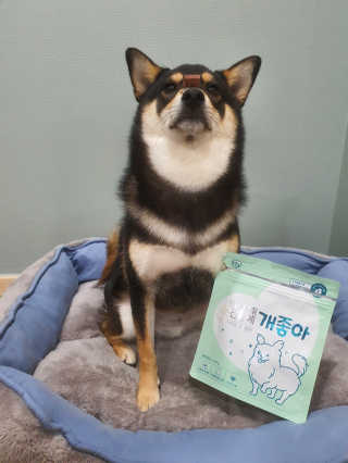 My Pet Care 천연단백질 눈건강에 개좋아 — 5점을 준 리뷰어가 2020년 11월 올린 사용 사진