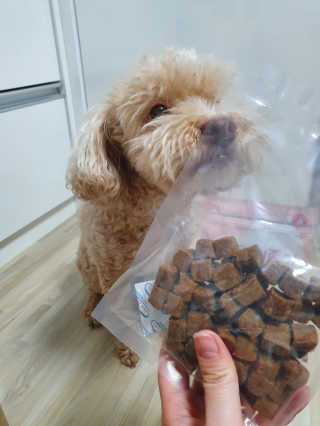 My Pet Care 천연단백질 관절건강에 개좋아 — 4점을 준 리뷰어가 2020년 11월 올린 사용 사진