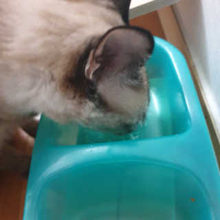 하늘이님이 올린 리뷰 사진 3
