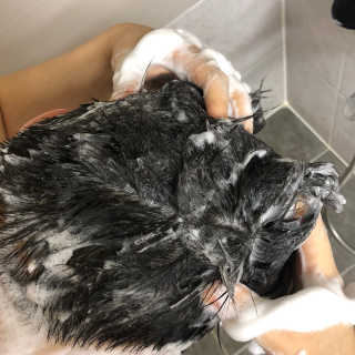 라니님이 올린 리뷰 사진 4