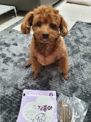 My Pet Care 천연단백질 치아건강에 개좋아 — 5점을 준 리뷰어가 2020년 11월 올린 사용 사진