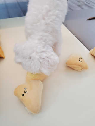 해워니님이 올린 리뷰 사진 3