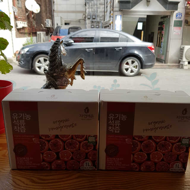 자연에온 유기농 석류 착즙 100mL 10개입 2BOX 리뷰 사진