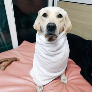 Lilly❤️님이 올린 리뷰 사진 1