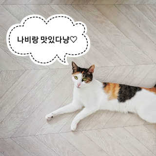 내가원하는님이 올린 리뷰 사진 1