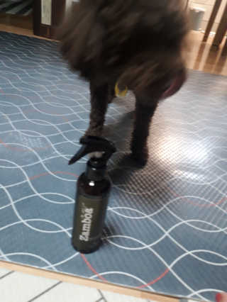 깨비님이 올린 리뷰 사진 1