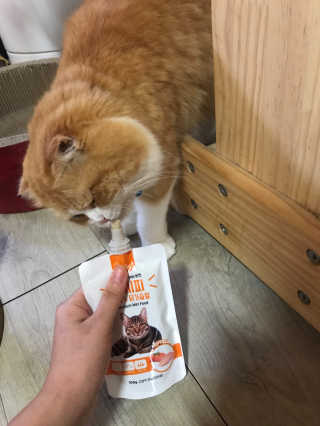 통통이네님이 올린 리뷰 사진 4