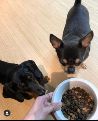 마루맘님이 올린 리뷰 사진 3
