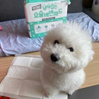 쏨님이 올린 리뷰 사진 1