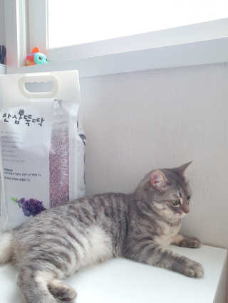 Jihanette님이 올린 리뷰 사진 2