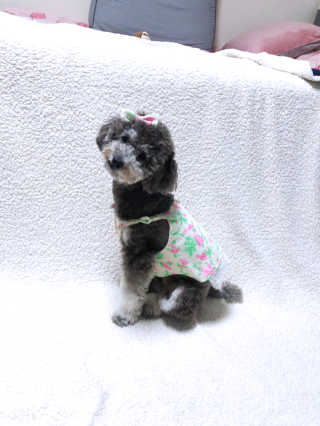 바니님이 올린 리뷰 사진 4