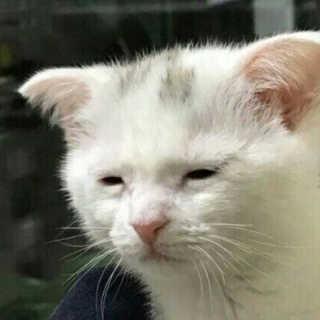 한라봉봉92님이 올린 리뷰 사진 2