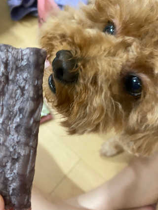 toiiiii님이 올린 리뷰 사진 1