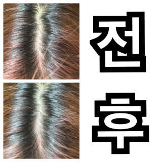 똥비님이 올린 리뷰 사진 2
