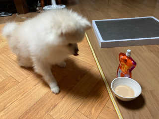 성님이 올린 리뷰 사진 3