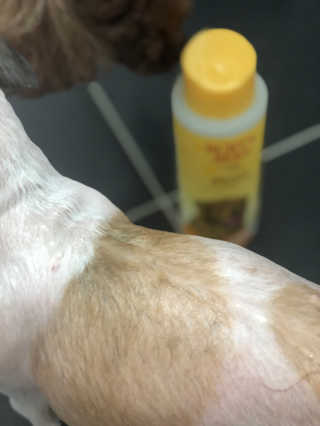 찡코11님이 올린 리뷰 사진 3