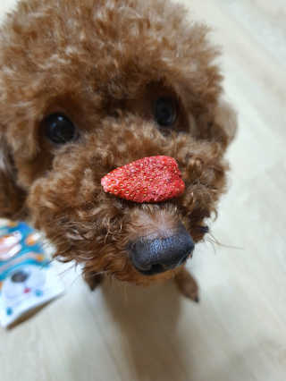 호호엄마님이 올린 리뷰 사진 4