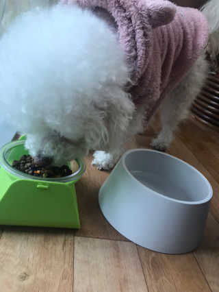 갱스님이 올린 리뷰 사진 3