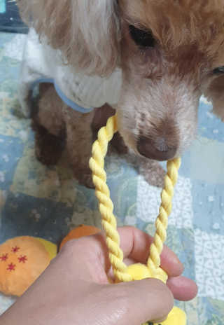 🐕삐딱이💖💖💖님이 올린 리뷰 사진 3