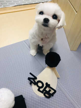 뚜덩맘님이 올린 리뷰 사진 1