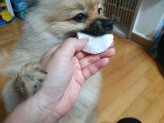 꼬마마녀와꼬망마님이 올린 리뷰 사진 3