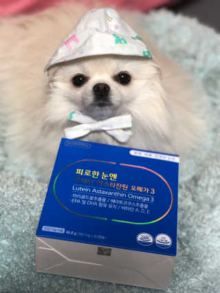 백설맘님이 올린 리뷰 사진 1