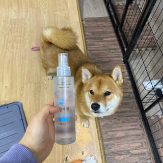 조림이무침이님이 올린 리뷰 사진 1