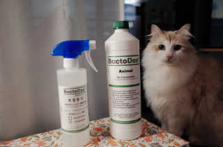 쇼니님이 올린 리뷰 사진 4