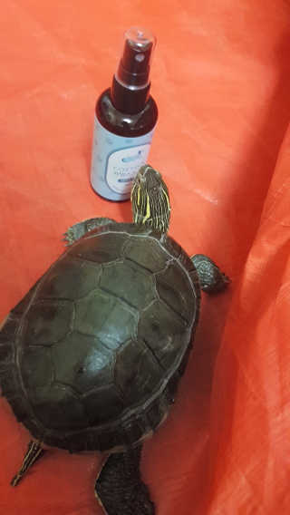 꽃다운하늘맘님이 올린 리뷰 사진 3