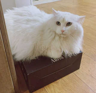 다봉님이 올린 리뷰 사진 1