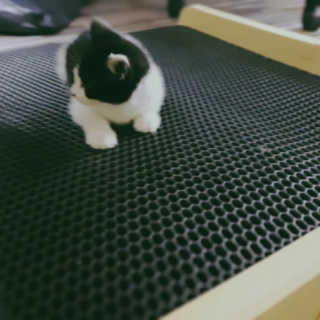 퓨리아님이 올린 리뷰 사진 1
