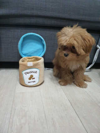 BINSMOM님이 올린 리뷰 사진 2