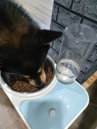 [풀무원 아미오] 자연담은식단 1kg 3종 — 5점을 준 리뷰어가 2020년 12월 올린 사용 사진