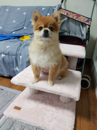 름이가리님이 올린 리뷰 사진 1