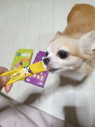 항이님이 올린 리뷰 사진 3