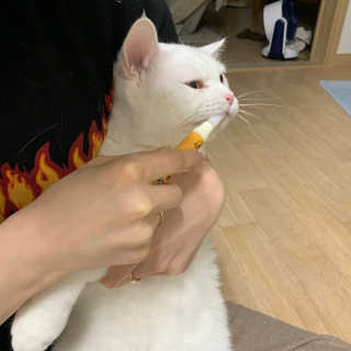 유짱님이 올린 리뷰 사진 2