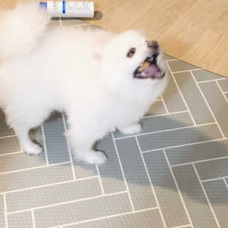 꾸눙맘님이 올린 리뷰 사진 4