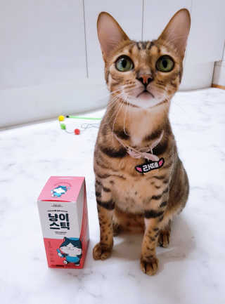 효니님이 올린 리뷰 사진 1