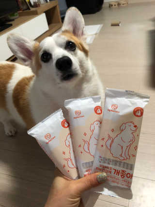 My Pet Care 모발과 모질 피부건강에 개좋아 — 4.5점을 준 리뷰어가 2020년 12월 올린 사용 사진