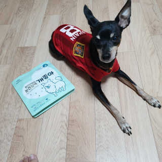 My Pet Care 천연단백질 눈건강에 개좋아 — 5점을 준 리뷰어가 2020년 11월 올린 사용 사진