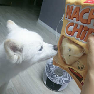 kay님이 올린 리뷰 사진 1