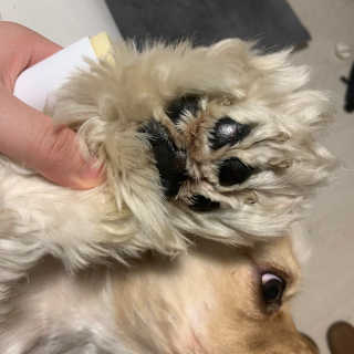 우린당님이 올린 리뷰 사진 2