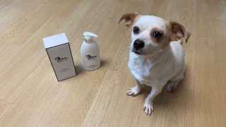 예민한 피부를 위한 코코몰리 All in one 자연유래 샴푸 — 4점을 준 리뷰어가 2020년 9월 올린 사용 사진