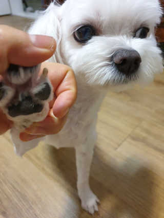 수니니님이 올린 리뷰 사진 1