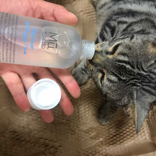 김지혜님이 올린 리뷰 사진 4
