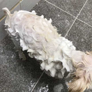 불량주부벗어나기님이 올린 리뷰 사진 3