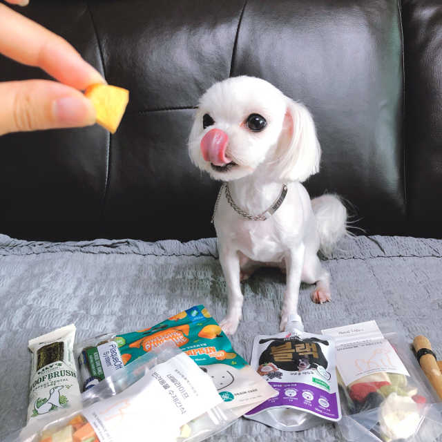 누나스 반려견을 위한 채식위주 간식 테스트박스 리뷰 사진