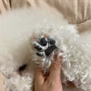쥬니님이 올린 리뷰 사진 4