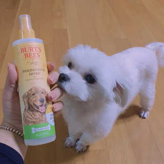 이수진님이 올린 리뷰 사진 2